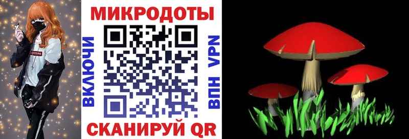 Галлюциногенные грибы GOLDEN TEACHER  где купить наркоту  Ивангород 